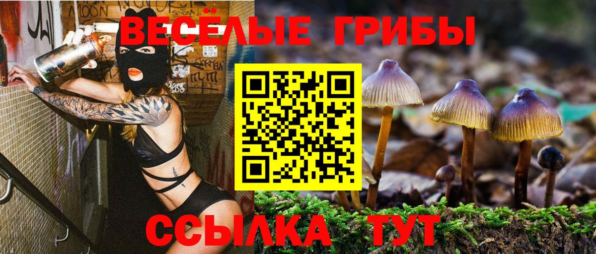 Боровичи  Галлюциногенные грибы прущие грибы  Вход с VPN 