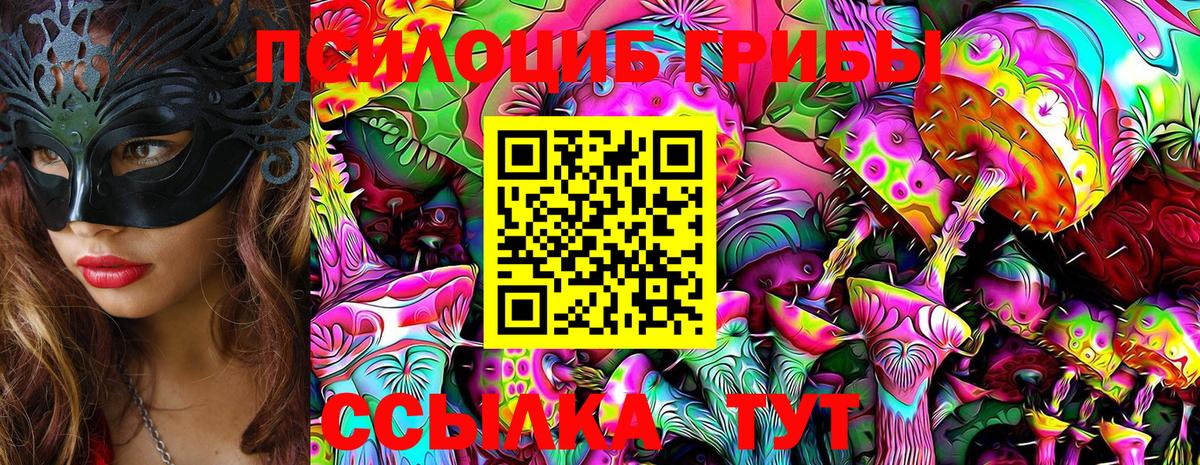Псилоцибиновые грибы мицелий Боровичи